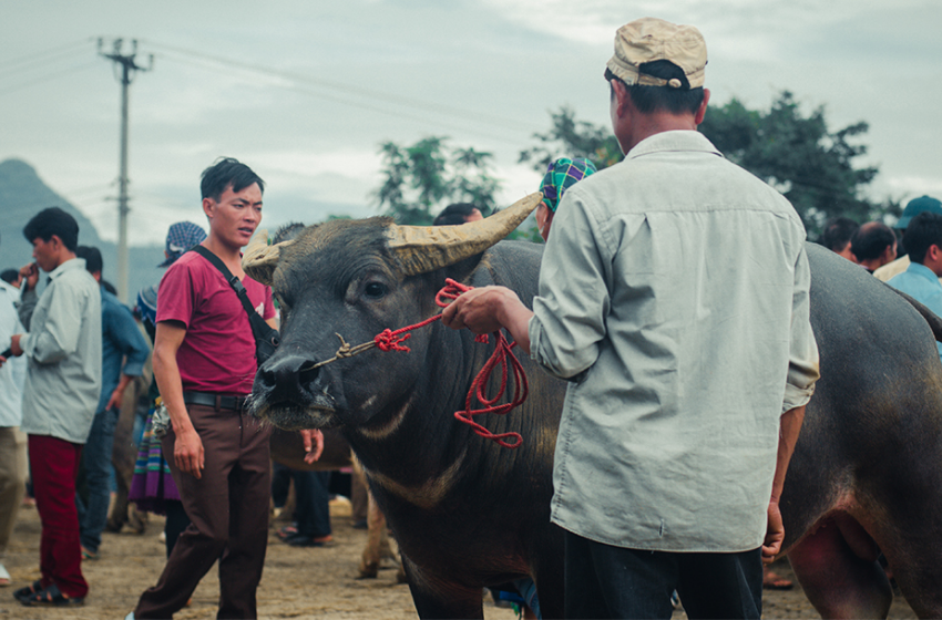 Best Sapa Bac Ha Market 3D/2N